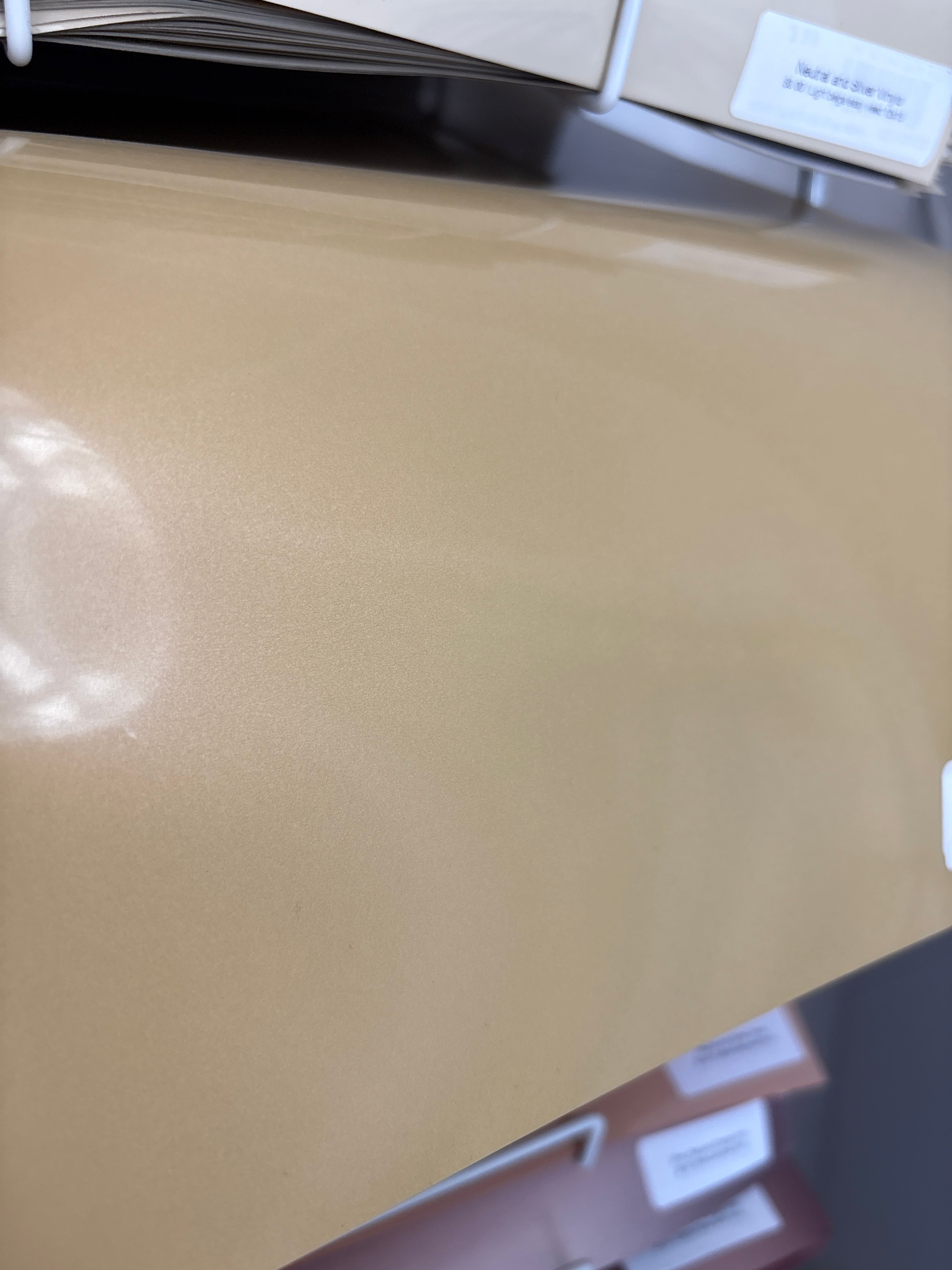 Neutral and Silver Vinyls