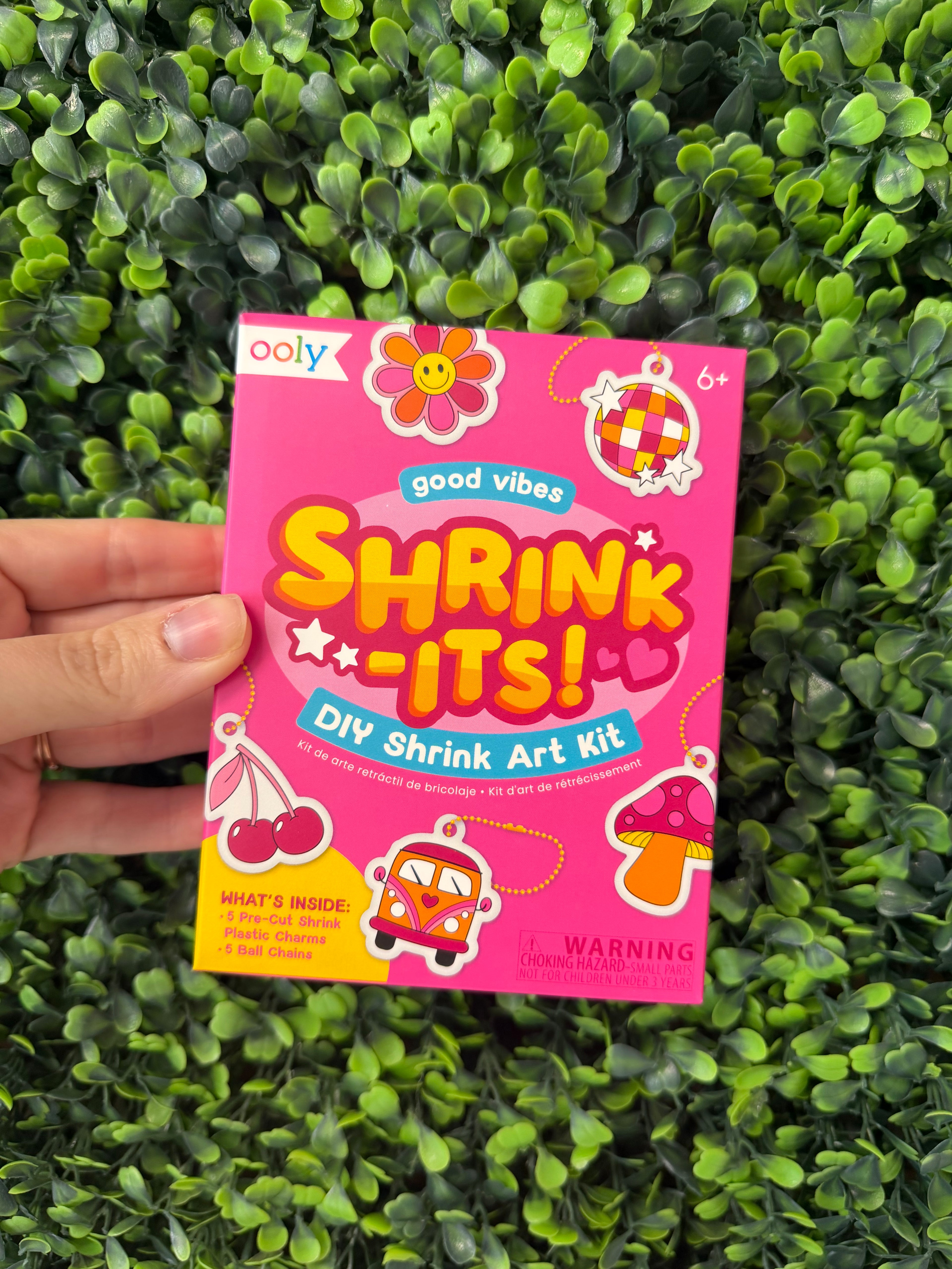 DIY Shrink Art Kit